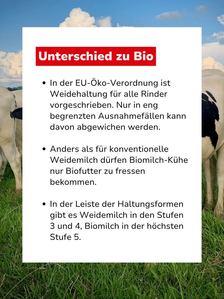 Bild mit Text: "Unterschied zu Bio. In der EU-Öko-Verordnung ist Weidehaltung für alle Rinder vorgeschrieben. Nur in eng begrenzten Ausnahmefällen kann davon abgewichen werden. Anders als für konventionelle Weidemilch dürfen Biomilch-Kühe nur Biofutter zu fressen bekommen. In der Leiste der Haltungsformen gibt es Weidemilch in den Stufen 3 und 4, Biomilch in der höchsten Stufe 5."