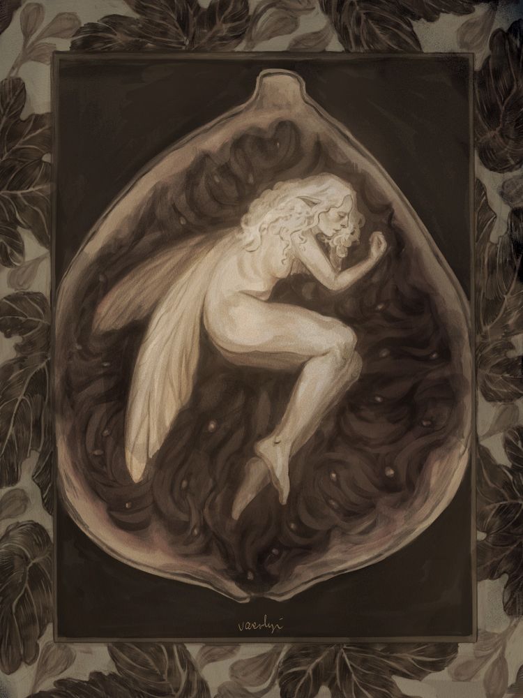 sepia image of a fairy curled up inside a fig; it has an ornamental frame made of fig leaves and buds