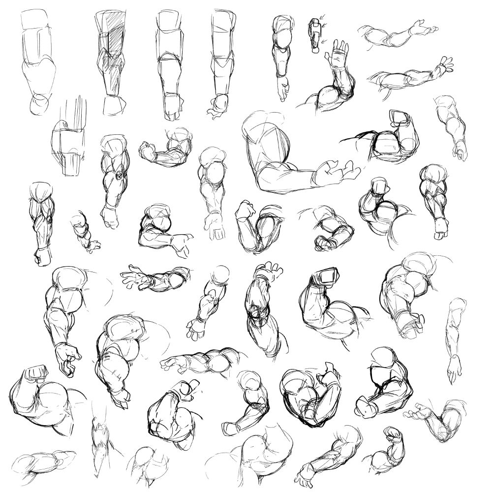 a sketchpage of lots and lots of arms at different sizes and angles. they're built up like a chain-link with the upper arm and forearm rotated opposite each other.