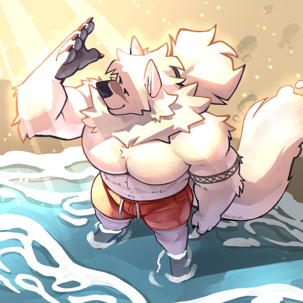 a big white samoyed stands in the shallows with the sun shining down on them