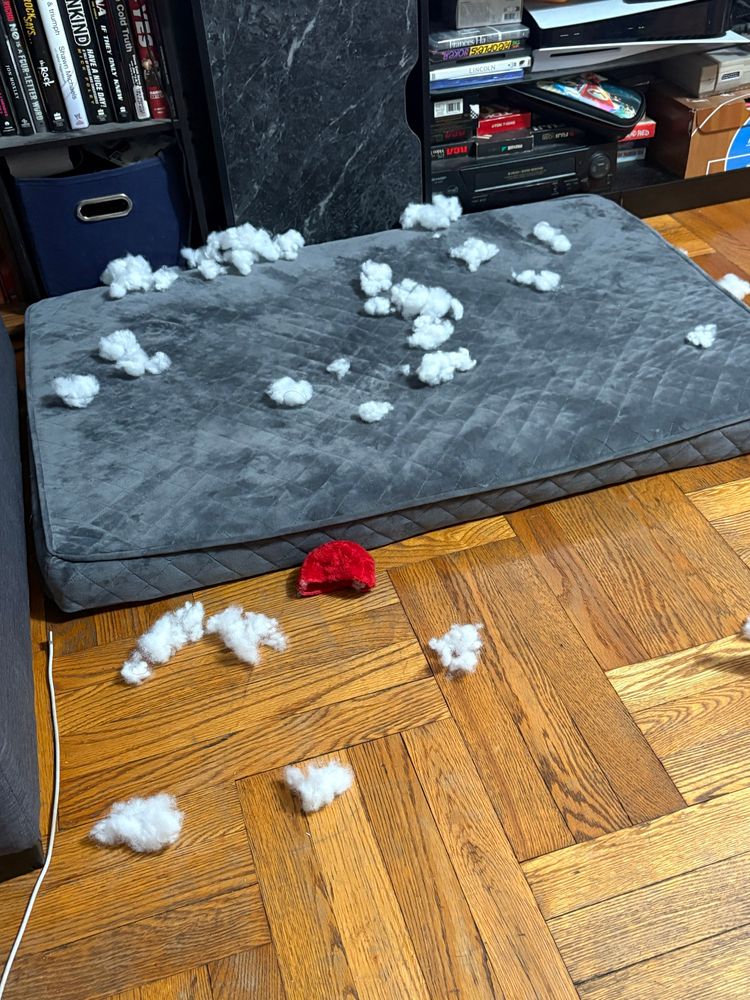 clifford’s face?? and stuffing everywhere 