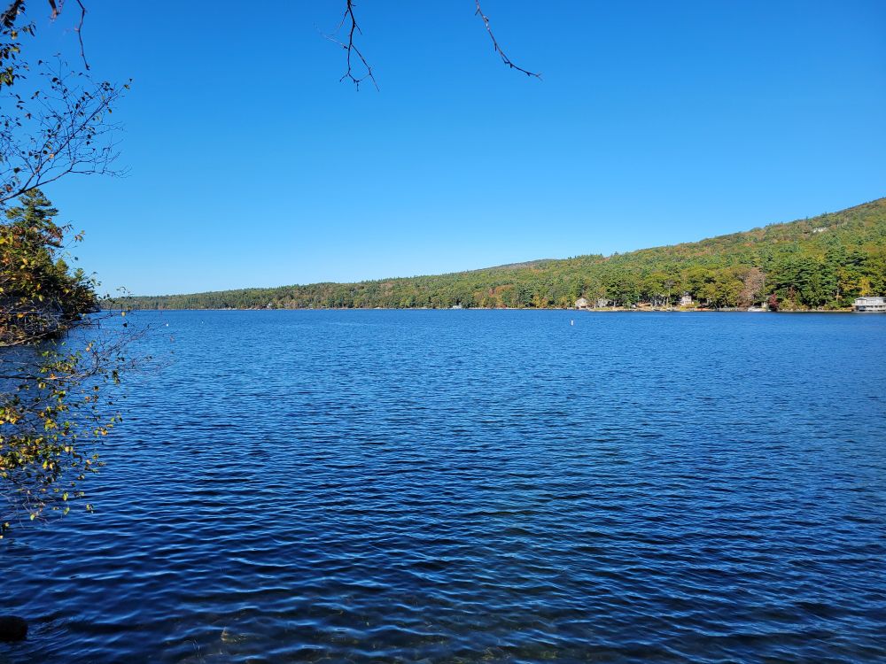 Lake view with trees behind