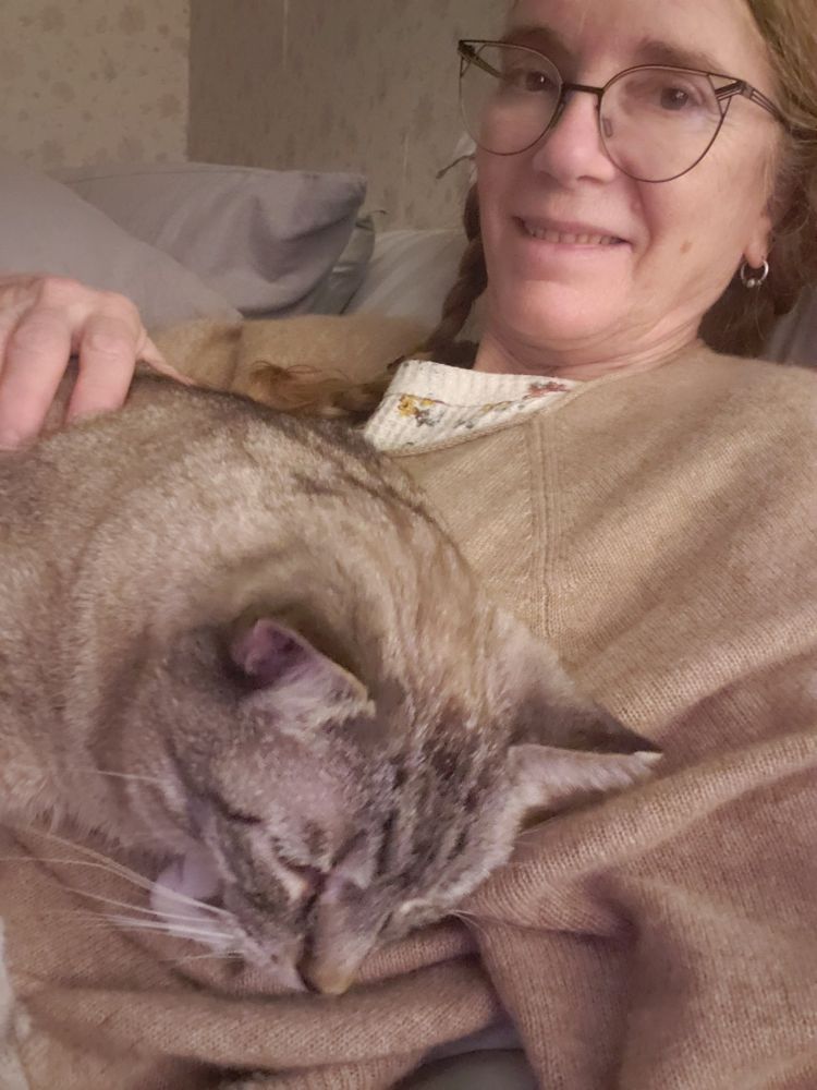 Selfie showing tired, old white lady lying on bed wearing enormous tan sweater. Goliath, my very large Siamese mix kitty, is snuggling up with me. 