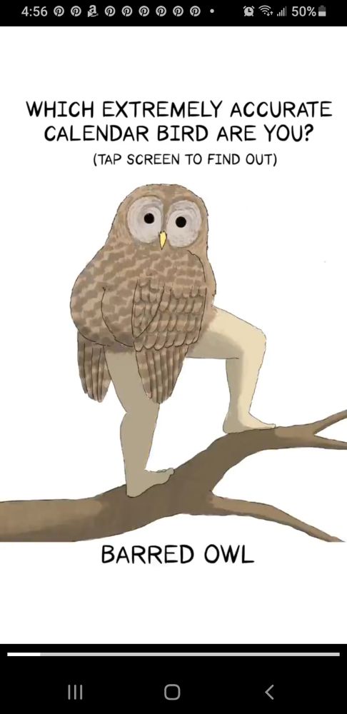 À barred owl with human legs and a feathered human bootylicious butt, standing on a bare tree limb looking over its right shoulder at the viewer