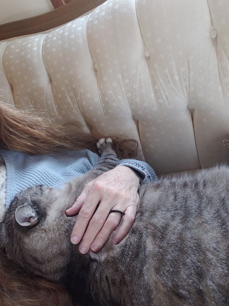 Goliath, my very large Siamese mix kitty, is lying on top of me with his front arm in a hug position. My hand rests on his body. 
