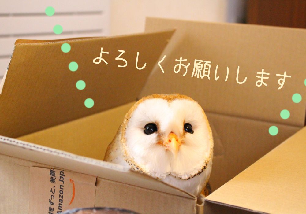 メンフクロウのおこげ