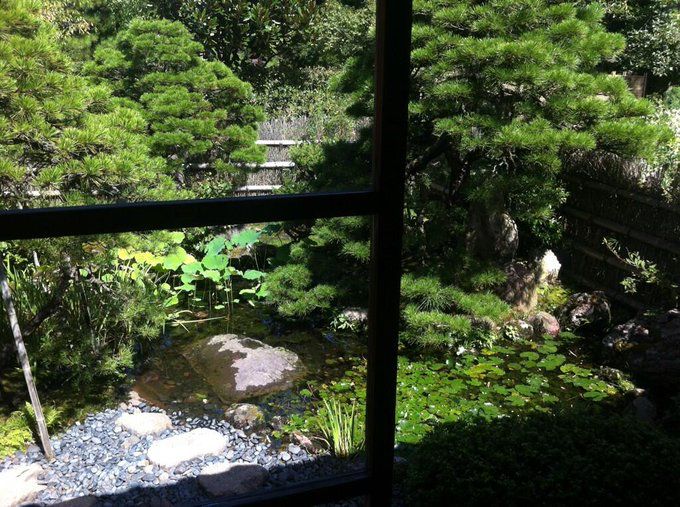 小泉八雲邸のおそらく裏庭。小さな池があり、緑がいっぱいで、家の中は濃い陰になっている。