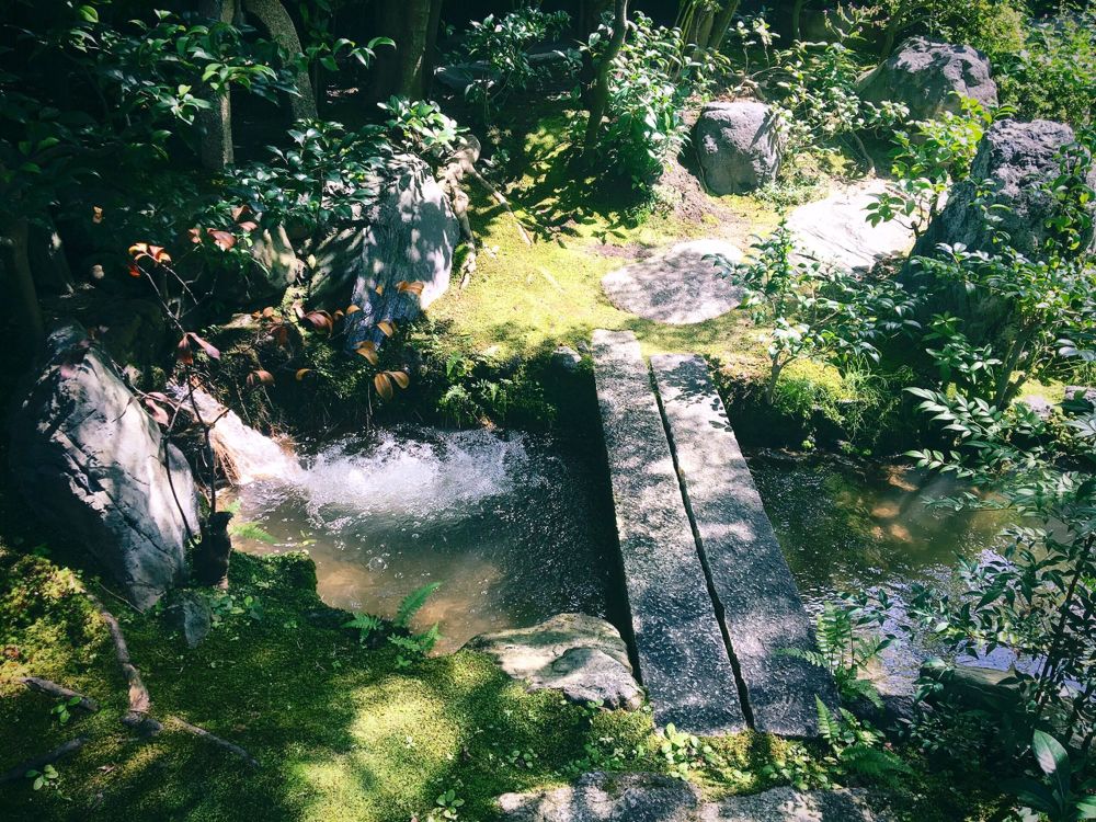 緑豊かな庭。小川に板切れの橋がかかっている。