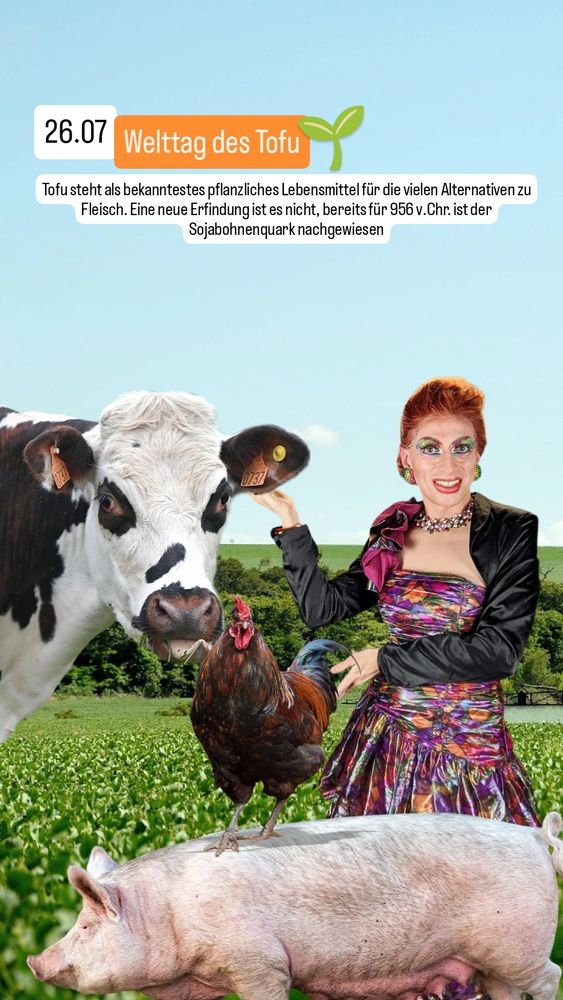 Ich stehe mit Schwein, Huhn und Kuh vor einem Sojabohnenfeld und präsentiere die drei Tiere.