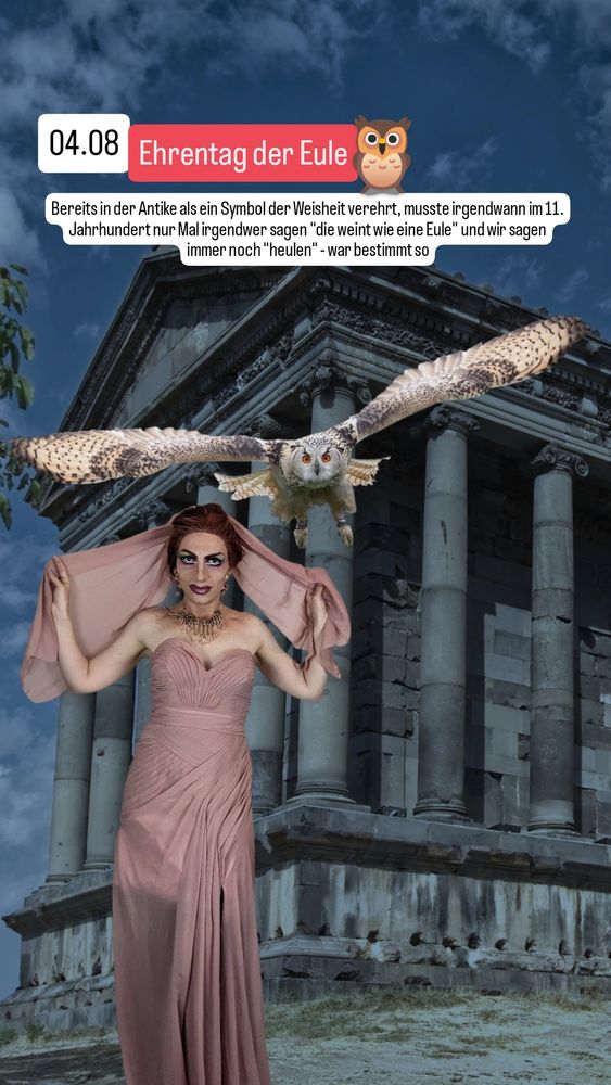 Ich stehe in langen malvefarbenen Kleid vor einem Tempel bei Nacht und trage ein durchsichtiges Tuch über das Haar, über mir fliegt eine weiße Eule.