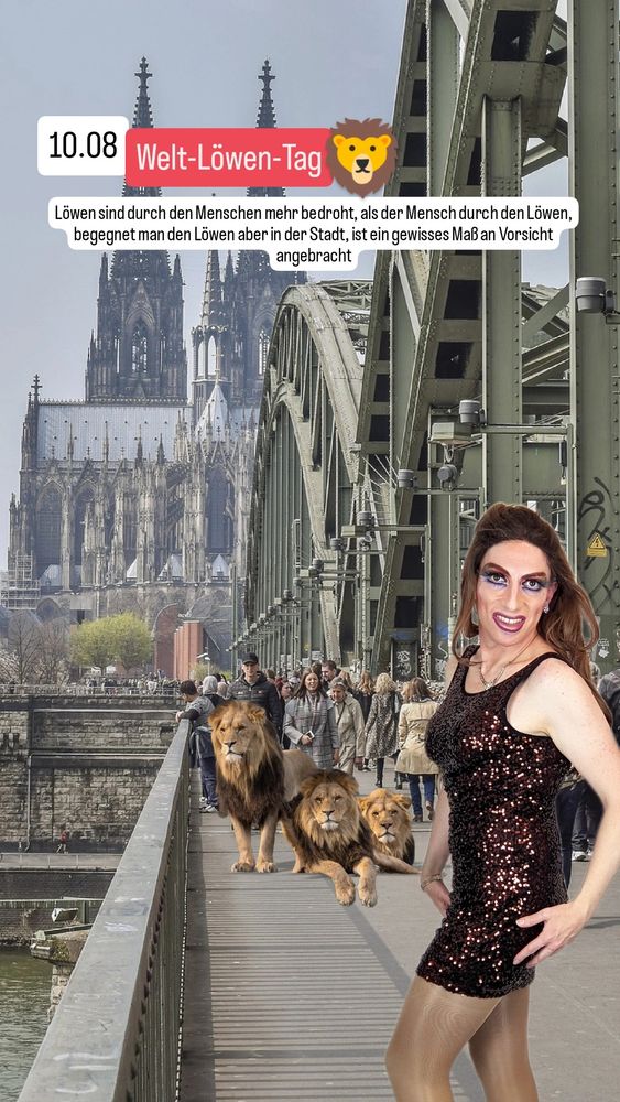 Ich stehe auf dem Fußweg der Hohenzollernbrücke in Köln in Richtung Kölner Dom, drei Löwen liegen auf dem Weg nebeneinander.
