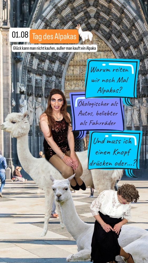 Ich sitze auf einem Alpaka vor dem Hauptportal des Kölner Doms, Granny Muffin sitzt auf einem Alpaka, das neben dem anderen liegt. Granny fragt: "Warum reiten wir noch Mal Alpakas?", ich antworte: "Ökologischer als Autos, beliebter als Fahrräder!", Granny erwidert: "Und muss ich einen Knopf drücken oder...?"