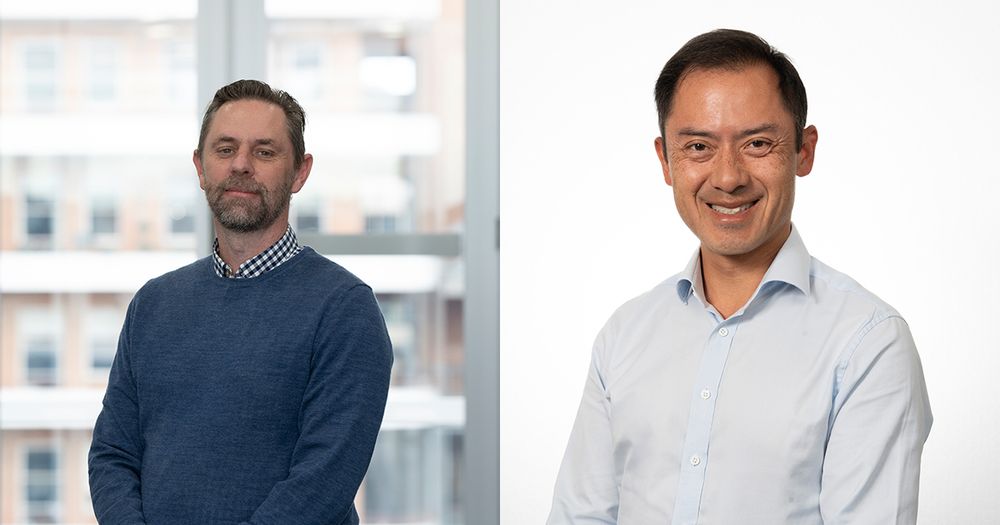 Professor Grant Dewson (left) and Professor Andrew Wei (right)