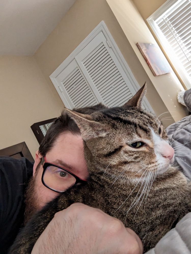Cat Hobbes and human