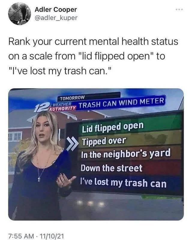A meme of a weather forecaster next to a chart that says "Rank your current mental health status on a scale from 'lid flipped open' to 'I've lost my trash can." Options are:
- Lid flipped Open
- Tipped over
- In the neighbor's yard
- Down the street
- I've lost my trash can