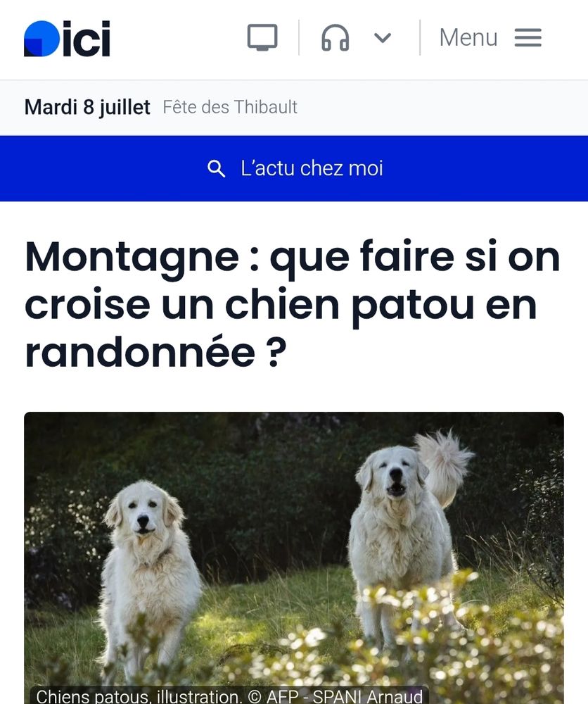 Montagne : que faire si on croise un chien patou en randonnée ?