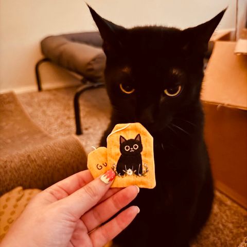 Black cat looking at a bookmark in the shape of a tea bag, which has his portrait embroidered on it.