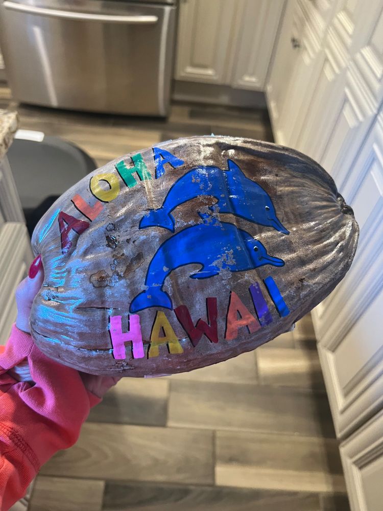 coconut with two dolphins