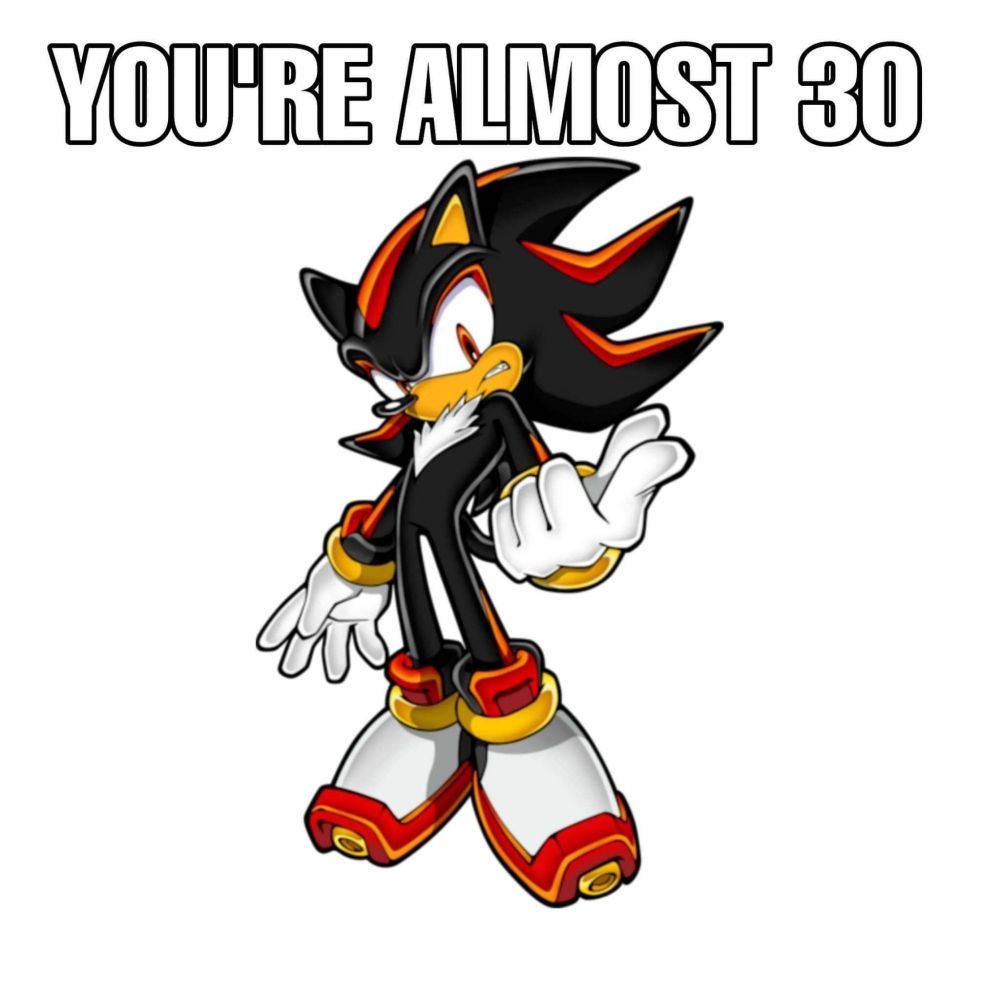 A macro meme image format of Shadow the hedgehog. He is pointing at the viewer and the text above reads "You're Almost 30" 