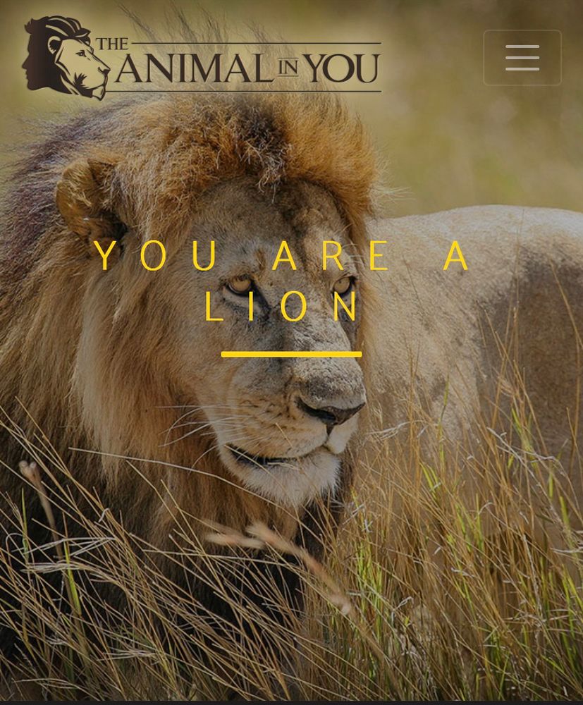 image of a lion with text “you are a lion” 