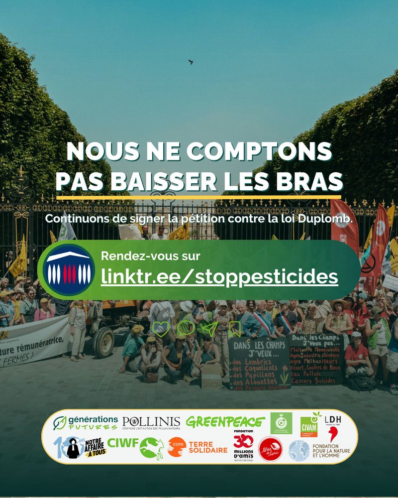 Nous ne comptons pas baisser les bras : lien vers la pétition