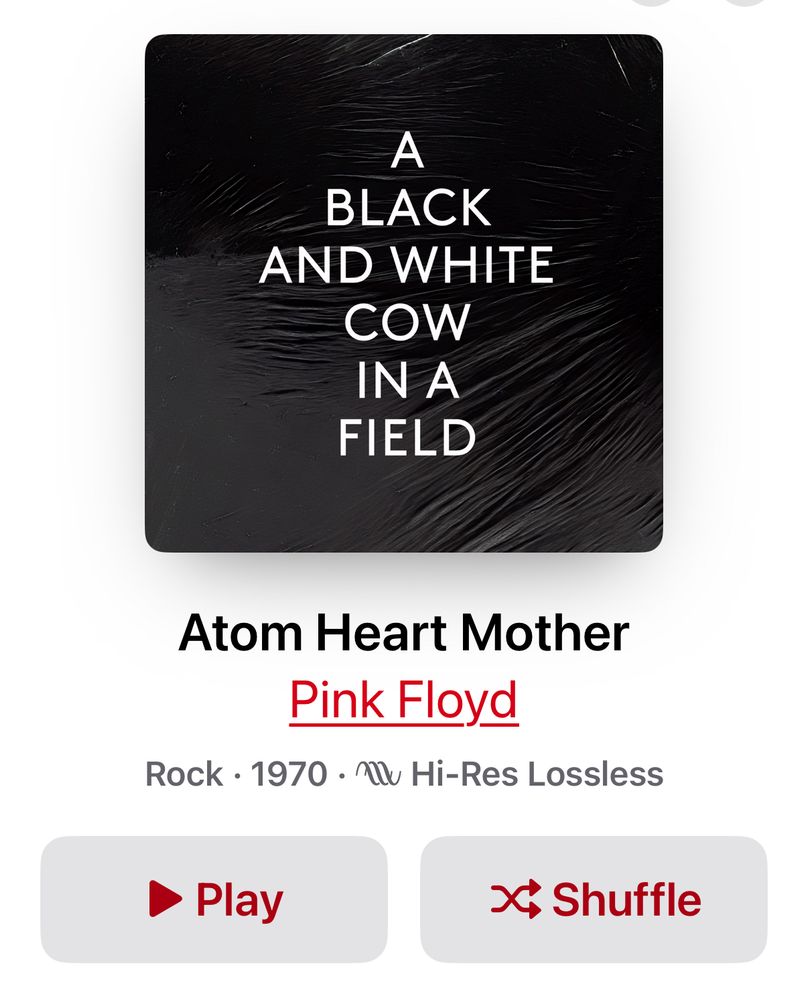 Pink Floyd album cover replaced with a description “Black and White Cow in a Field”