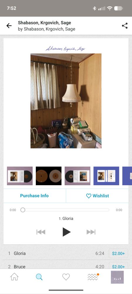 bandcamp listing for Shabason, Krgovich, Sage (the artist and album of the same name) 