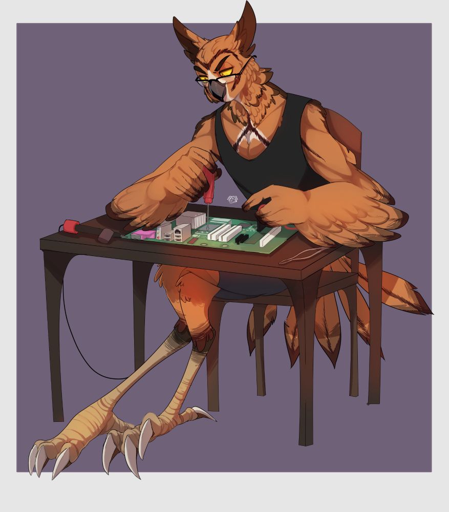 Owl who is fixing the mother board 