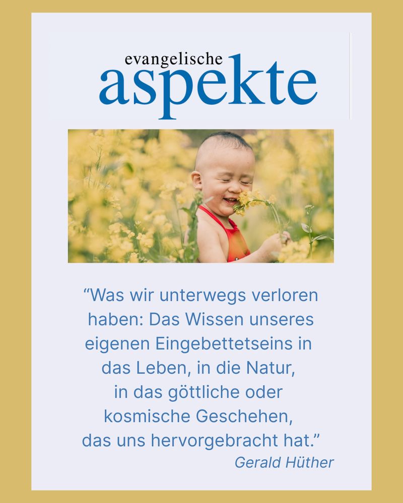 "was wir unterwegs verloren haben: Das Gefühl und das Wissen unseres eigenen Eingebettetseins in das Leben, in die Natur, in das göttliche oder kosmische Geschehen, das uns hervorgebracht hat." Zitat aus verlinktem Beitrag von Gerald Hüther. Dazu das Bild eines kleinen Kindes in einer Wiese voller gelber Blumen. Es hält sich eines der Blütenstängel vors Gesicht und empfindet sichtliches Vergnügen.
