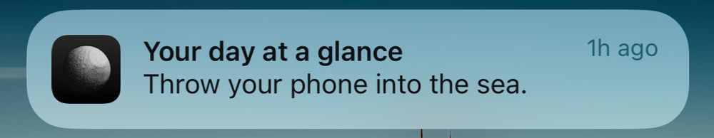 push notification from co—star: “throw your phone into the sea”