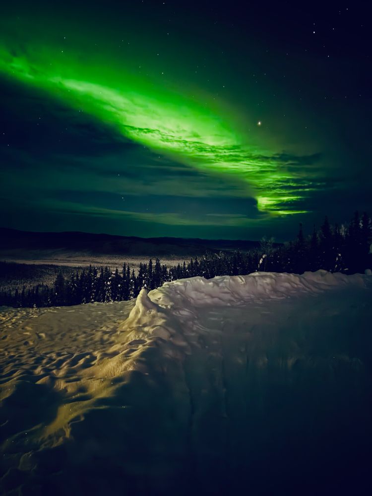 A shot of the aurora over snow and trees