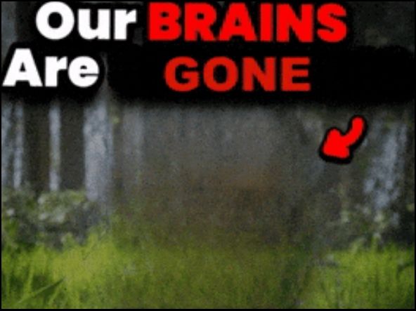 Our BRAINS Are GONE