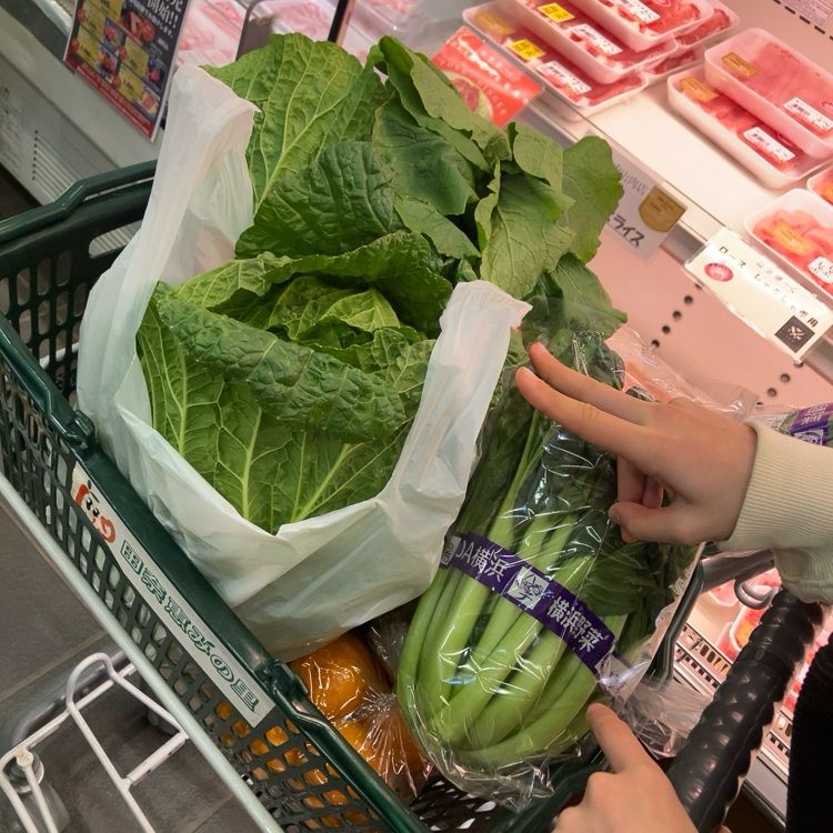 カートいっぱいの野菜