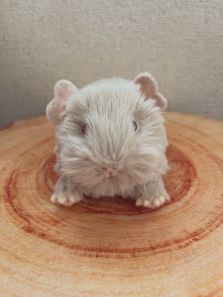 【モルぐるみ】 mol'n作

ライラック×ルビーアイ
