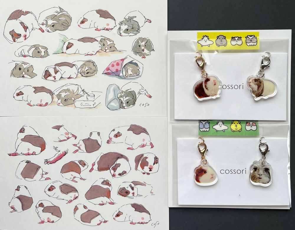 cossoriさん作
【全身】&【ムゥ&ニコッ】
アクリルチャーム💕

イラストも最高です🥰