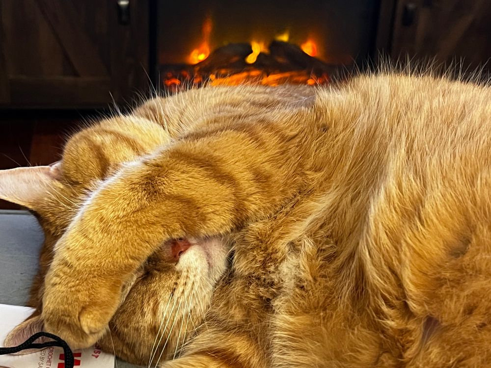 a handsome orange tabby cat with his arm dramatically draped over his face as if the world is too much 