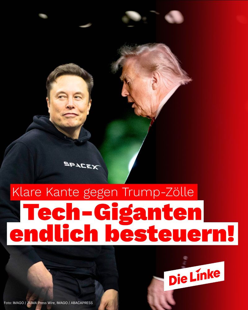 Bildmontage mit Elon Musk in einem SpaceX-Hoodie und Donald Trump, der wütend zu ihm spricht. Daneben ein roter Verlauf mit dem Logo von „Die Linke“. Text: „Klare Kante gegen Trump-Zölle – Tech-Giganten endlich besteuern!“