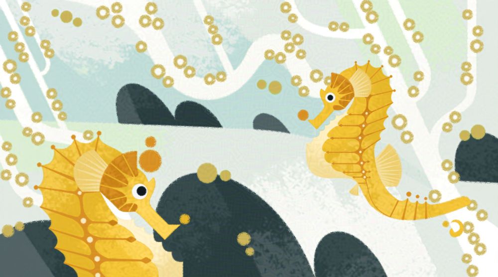 Seahorses