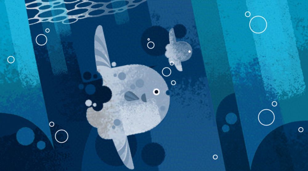 sunfish (why tf this aint called moonfish?)