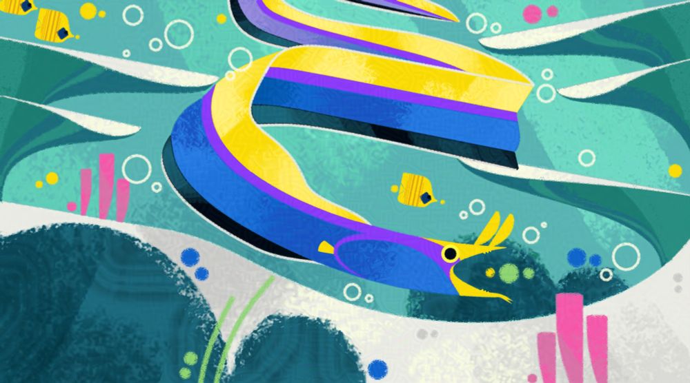Ribbon eel