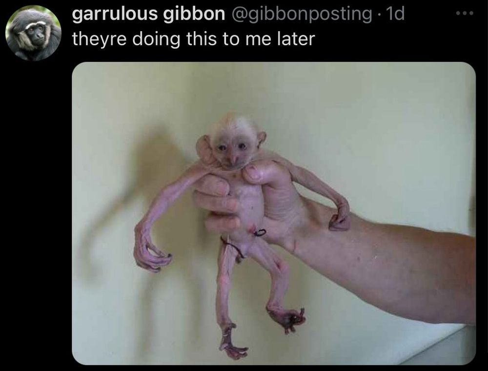 That’s a pic of me.