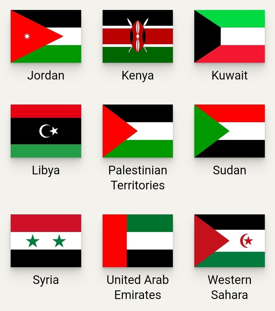 Red-white-green-black flags identified. The Palestinian one has three horizontal stripes in black-white-green with a red triangle at the left.