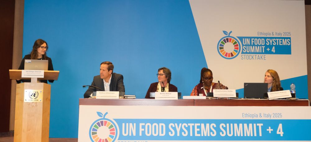 Four panelists sit at a table with microphones and nametags. A banner reads "UN Food Systems Summit +4 Stocktake." A fifth panelist stands at a podium to the left.