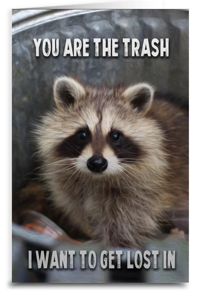 Comment image