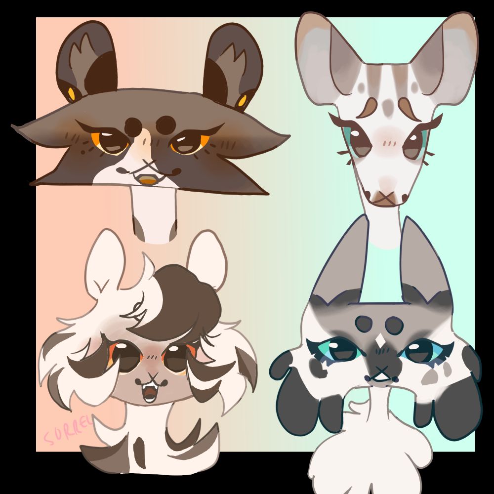 Four cartoony kitties. Top left is a Siamese with white patches and orange eyes. Top right is a long faced gray and white tabby with green eyes. Bottom left is a fluffy color point with brown stripes and orange eyes. Bottom right is a mottled cream, brown, and black long hair with heterochromia.