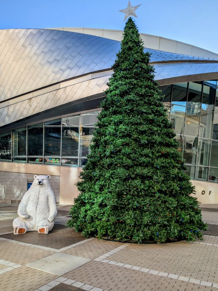 Entrance plaza for the Nascar Hall of Fame in Charlotte. A giant Christmas Tree w/ a star on top can be seen alongside a sitting polar bear. The bear looks very content.