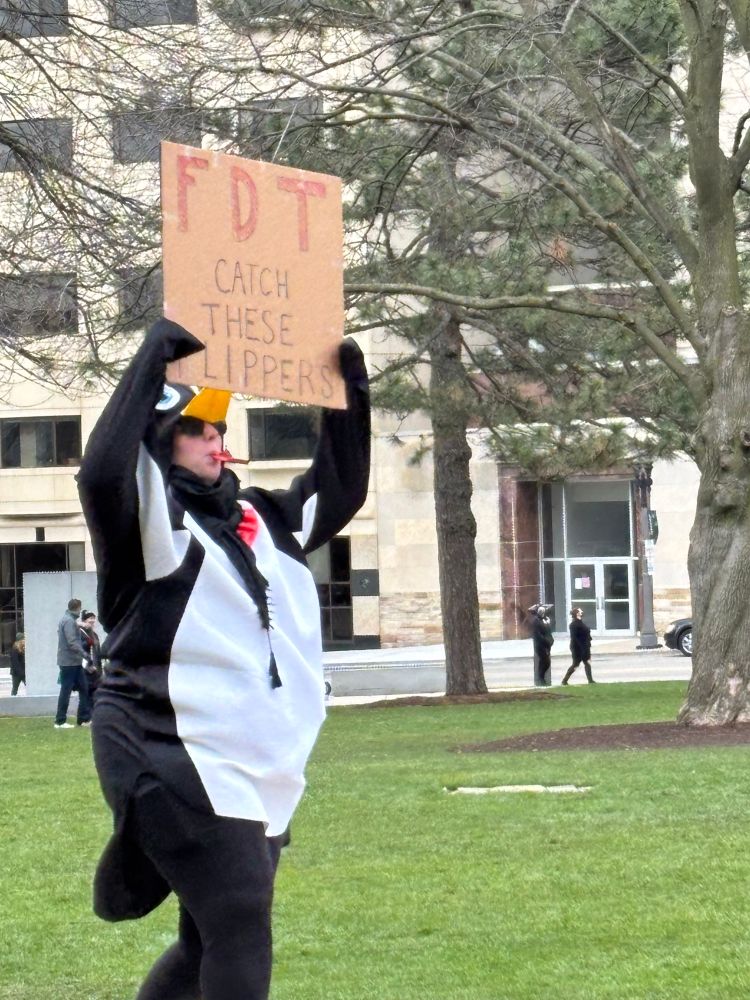 Penguin protesting trump tariffs