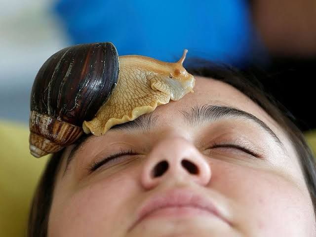 Slimy face care : a snail crawling on a person’s face 