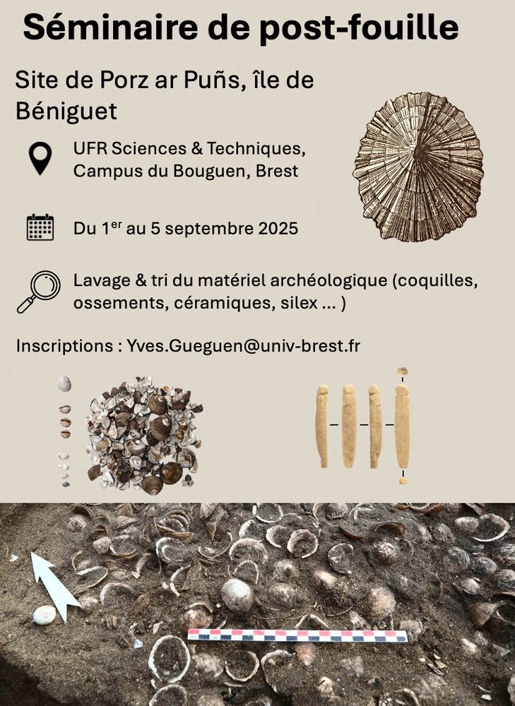 Flyer de présentation de la session de post-fouille, contenant les informations essentielles : - Lieu : UFR Sciences et Techniques de l'UBO, à Brest - Dates : du 1er au 5 septembre 2025 - Horaires : 9h - 17h (flexible) - Tâches réalisés : lavage et tri du matériel archéologique - Adresse d'inscription : yves.gueguen@univ-brest.fr