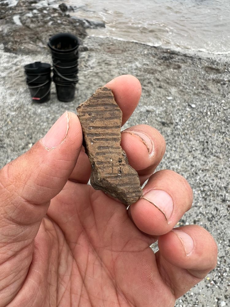 Conguel-style ceramic shard, nicely decorated